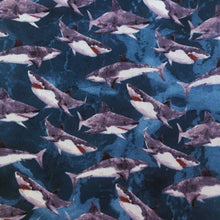 Load image into Gallery viewer, Shark Infested Waters Shorts
